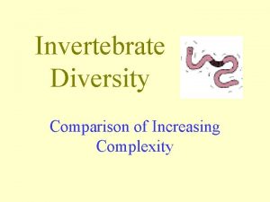 Invertebrate Diversity Comparison of Increasing Complexity What is