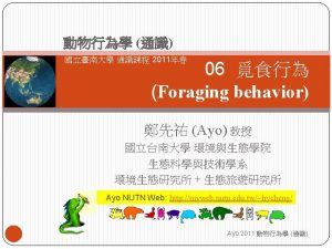 Foraging behavior 1 2 Antfungus relationship Optimal foraging