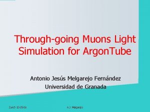 Throughgoing Muons Light Simulation for Argon Tube Antonio