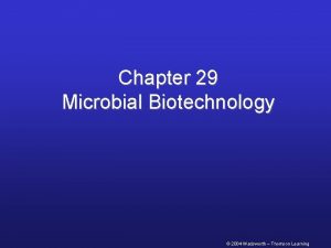 Chapter 29 Microbial Biotechnology 2004 Wadsworth Thomson Learning