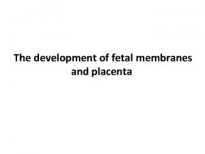 The development of fetal membranes and placenta 1