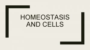 HOMEOSTASIS AND CELLS Homeostasis Cells are the basic