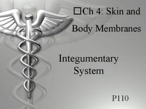 Ch 4 Skin and Body Membranes Integumentary System