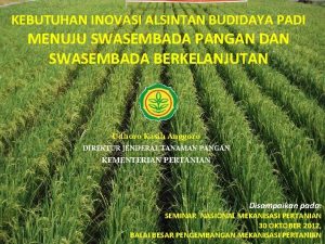 KEBUTUHAN INOVASI ALSINTAN BUDIDAYA PADI MENUJU SWASEMBADA PANGAN