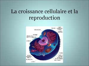 La croissance cellulaire et la reproduction Tous les