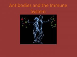 Antibodies and the Immune System Immune System Protects