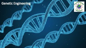 Genetic Engineering What is genetic engineering Genetic engineering