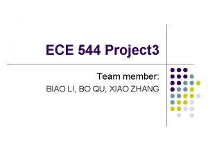 ECE 544 Project 3 Team member BIAO LI