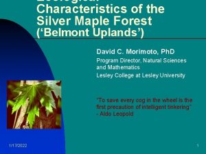 Ecological Characteristics of the Silver Maple Forest Belmont