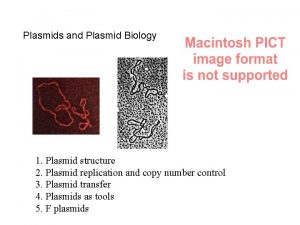 Plasmids and Plasmid Biology 1 Plasmid structure 2