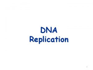 DNA Replication 1 Replication Facts DNA has to