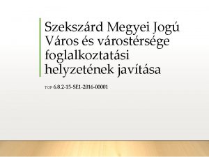 Szekszrd Megyei Jog Vros s vrostrsge foglalkoztatsi helyzetnek