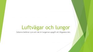 Luftvgar och lungor Cellerna behver syre och det