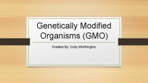 Genetically Modified Organisms GMO Created By Cody Worthington