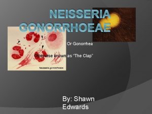 NEISSERIA GONORRHOEAE Or Gonorrhea Otherwise known as The