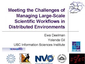 Meeting the Challenges of Managing LargeScale Scientific Workflows