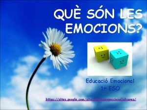 QU SN LES EMOCIONS Educaci Emocional 1 r