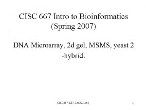 CISC 667 Intro to Bioinformatics Spring 2007 DNA