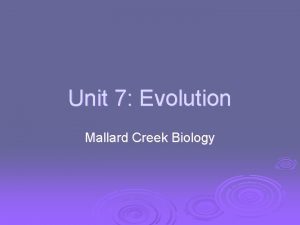 Unit 7 Evolution Mallard Creek Biology Evolution theories