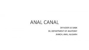 ANAL CANAL DR NOOR US SABA SR DEPARTMENT