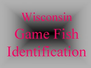 Wisconsin Game Fish Identification Fish External Anatomy Bluegill