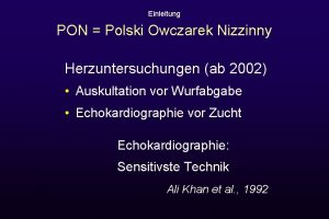 Einleitung PON Polski Owczarek Nizzinny Herzuntersuchungen ab 2002