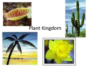 Plant Kingdom Characteristics of Plants Multicellular Cell Walls