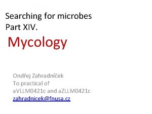 Searching for microbes Part XIV Mycology Ondej Zahradnek