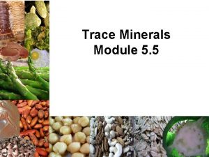 Trace Minerals Module 5 5 Trace Minerals Iron
