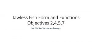 Jawless Fish Form and Functions Objectives 2 4