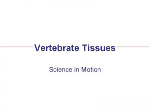 Vertebrate Tissues Science in Motion 4 Basic Tissue