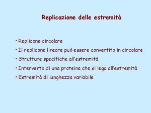 Replicazione delle estremit Replicone circolare Il replicone lineare