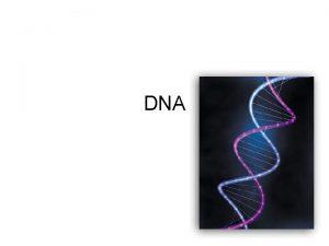 DNA How was DNA discovered There were 3