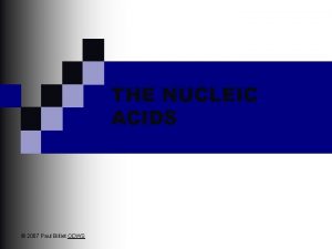 THE NUCLEIC ACIDS 2007 Paul Billiet ODWS Day