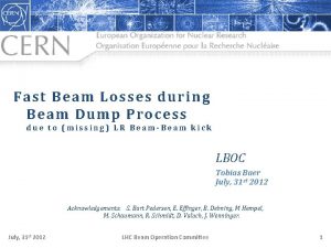 Fast Beam Losses during Beam Dump Process due