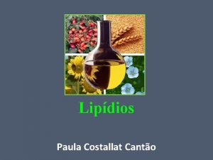 Lipdios Paula Costallat Canto Lipdios Caractersticas Insolubilidade em