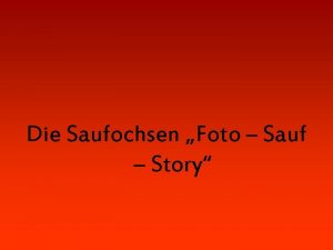 Die Saufochsen Foto Sauf Story Angefangen hat alles