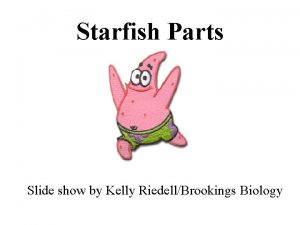 Starfish Parts Slide show by Kelly RiedellBrookings Biology