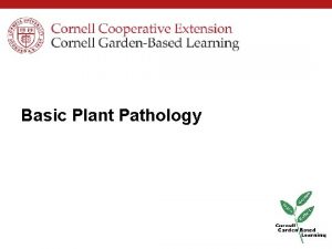 Basic Plant Pathology PreWork Insert your prework Insert