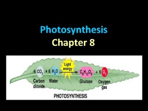 Photosynthesis Chapter 8 PHOTOSYNTHESIS ENERGY and LIFE Every