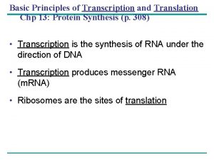 Basic Principles of Transcription and Translation Chp 13