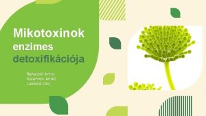 Mikotoxinok enzimes detoxifikcija Bereczki Anna Kelemen Anik Lukcsi