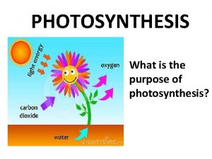 PHOTOSYNTHESIS What is the purpose of photosynthesis PHOTOSYNTHESIS
