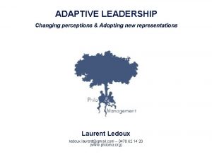 ADAPTIVE LEADERSHIP Changing perceptions Adopting new representations Laurent