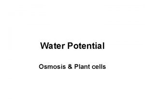 Water Potential Osmosis Plant cells Plants water potential