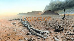 Extinction Extinction is when a species of animals