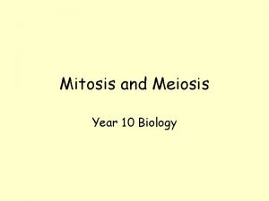 Mitosis and Meiosis Year 10 Biology Mitosis and