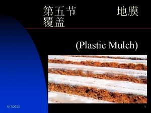 Plastic Mulch 1172022 1 1172022 7 n Plastic