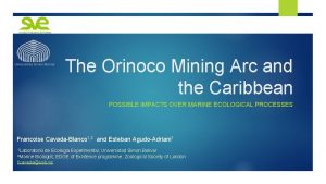 The Orinoco Mining Arc and the Caribbean POSSIBLE