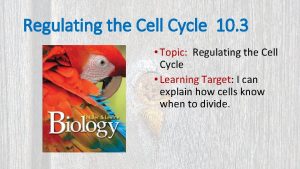 Regulating the Cell Cycle 10 3 Topic Regulating